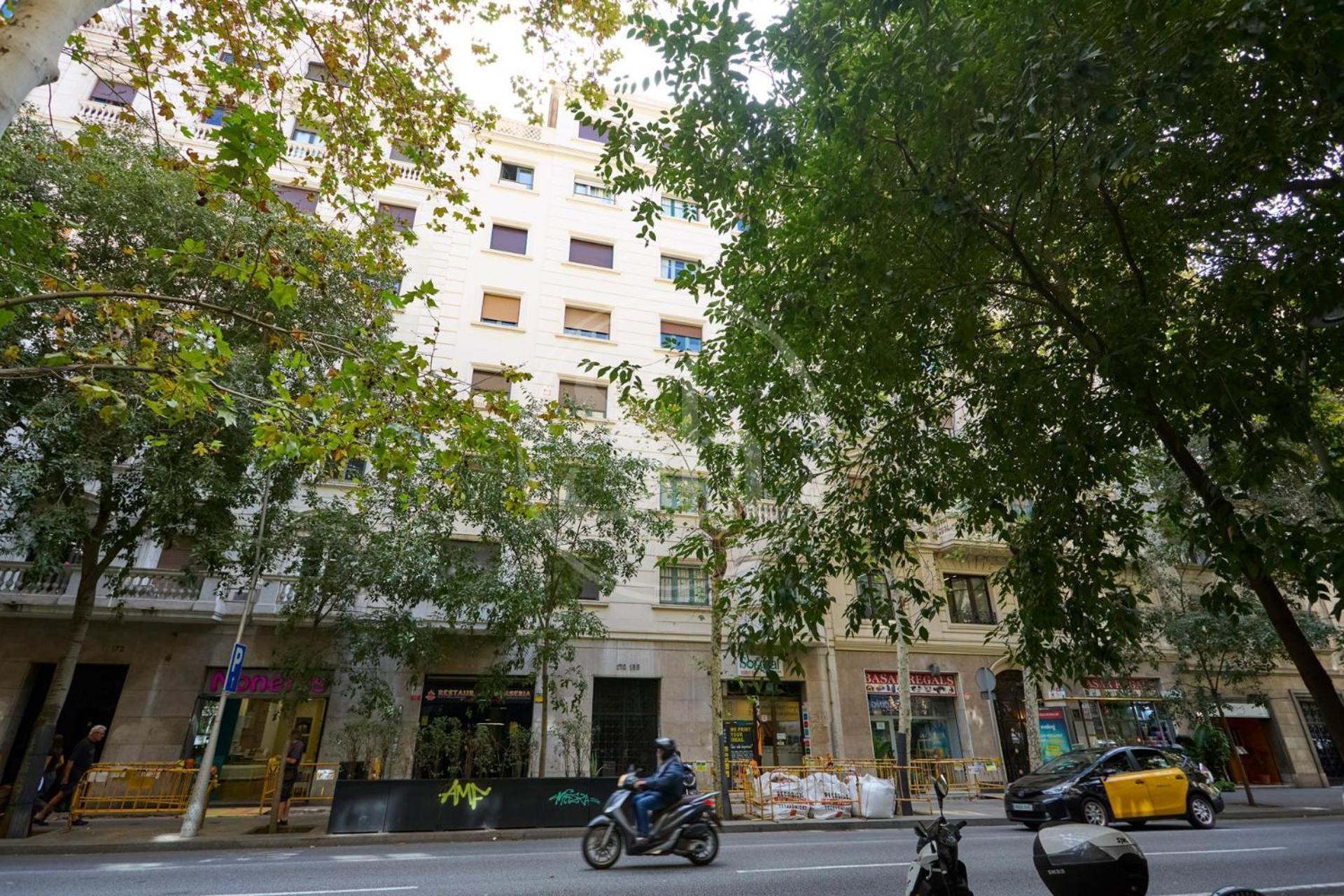 Apartamento Luminescent Valencia *