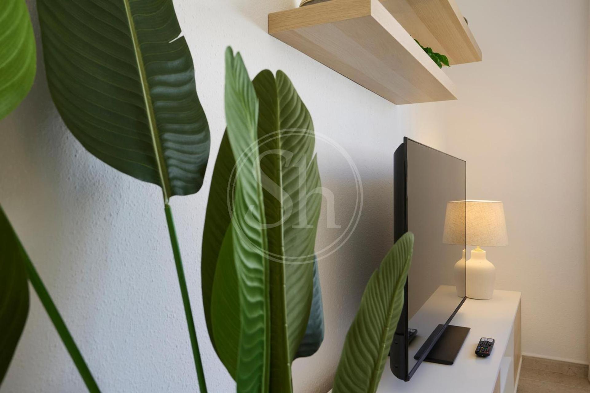 Apartamento Luminescent Valencia